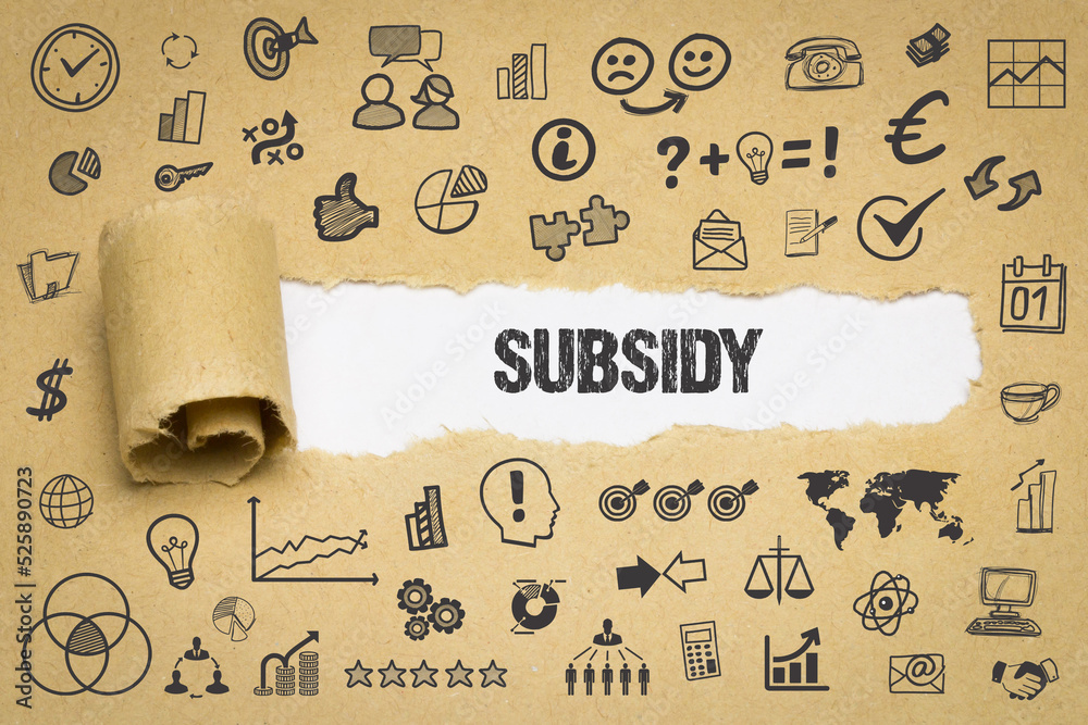 subsidy